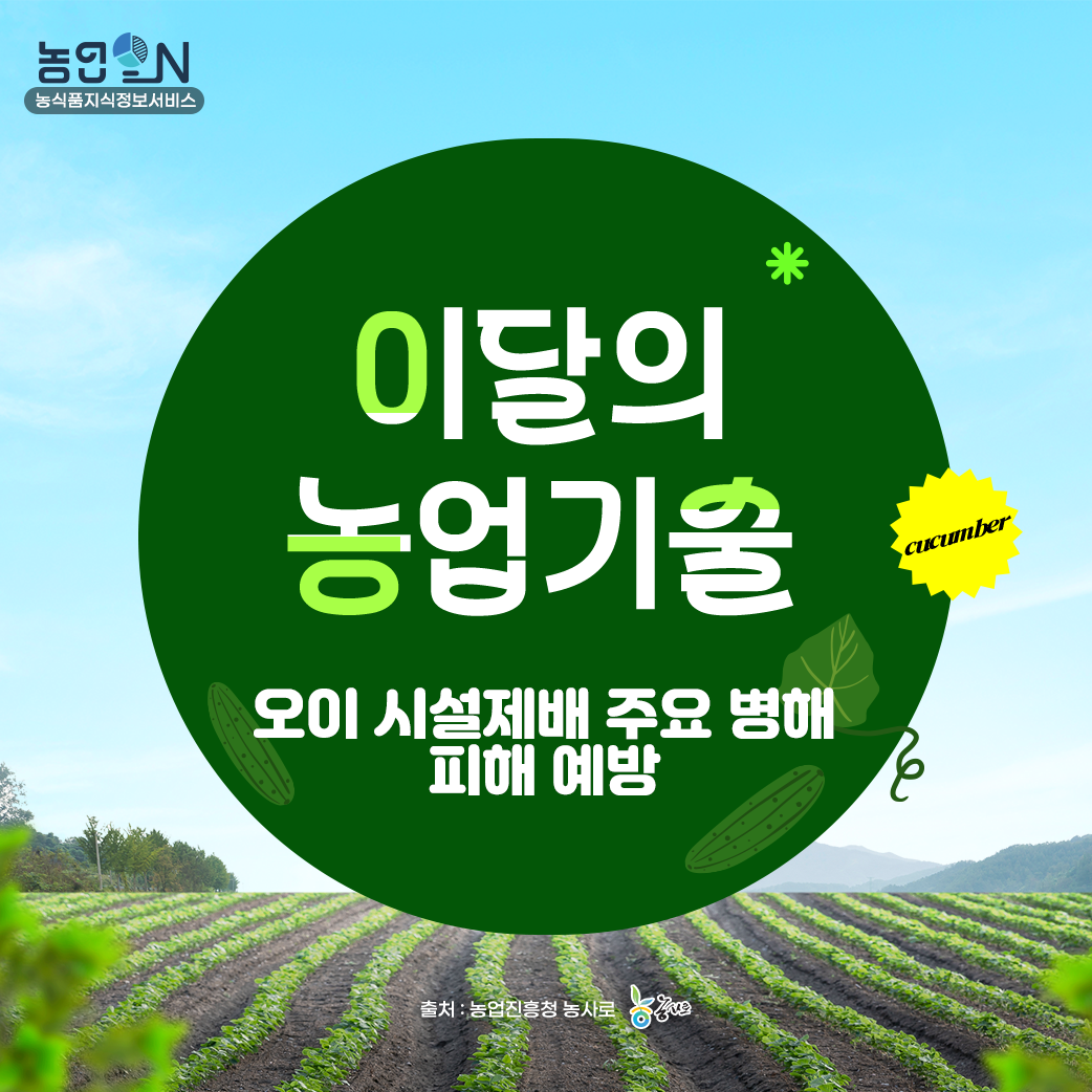 [이달의 농업기술] 오이 시설재배 주요 병해 피해 예방