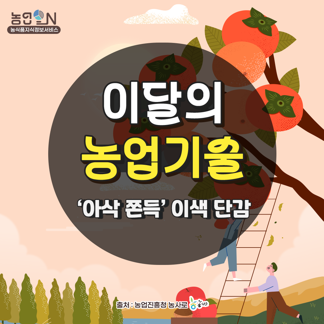 [이달의 농업기술]  아삭 쫀득 이색 단감으로 소비자 입맛 잡는다