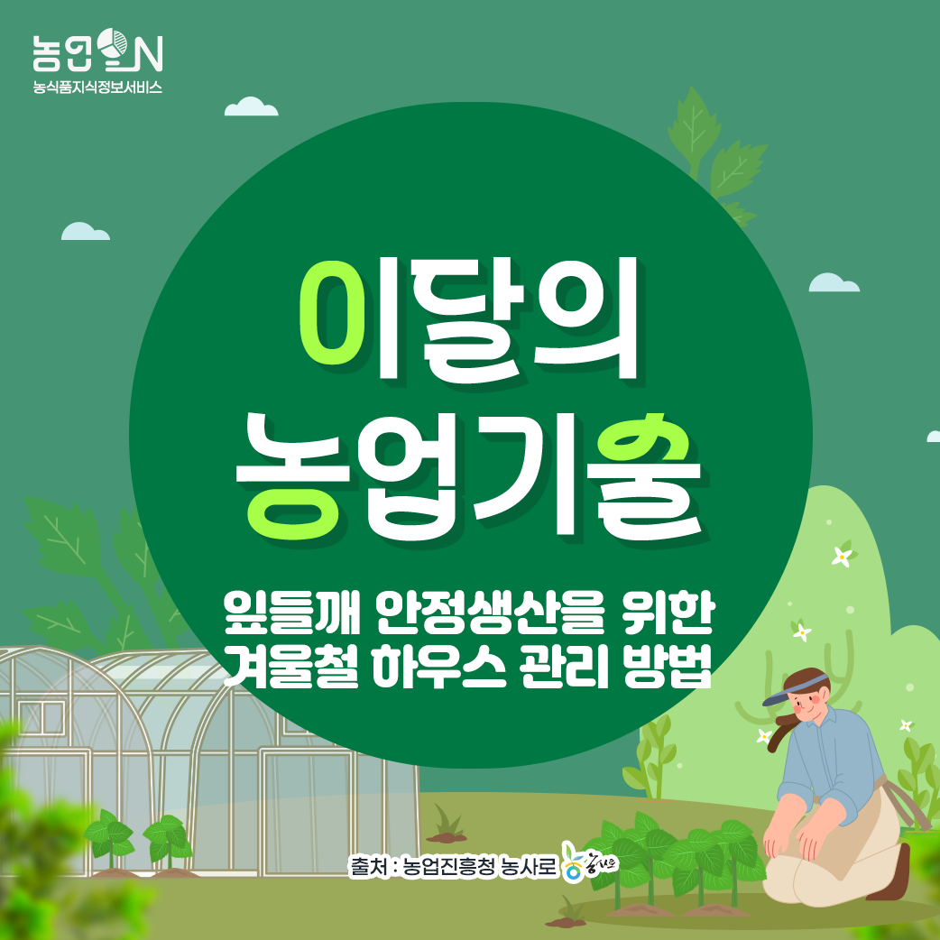 [이달의 농업기술]  잎들깨 안정생산을 위한 겨울철 하우스 관리 방법