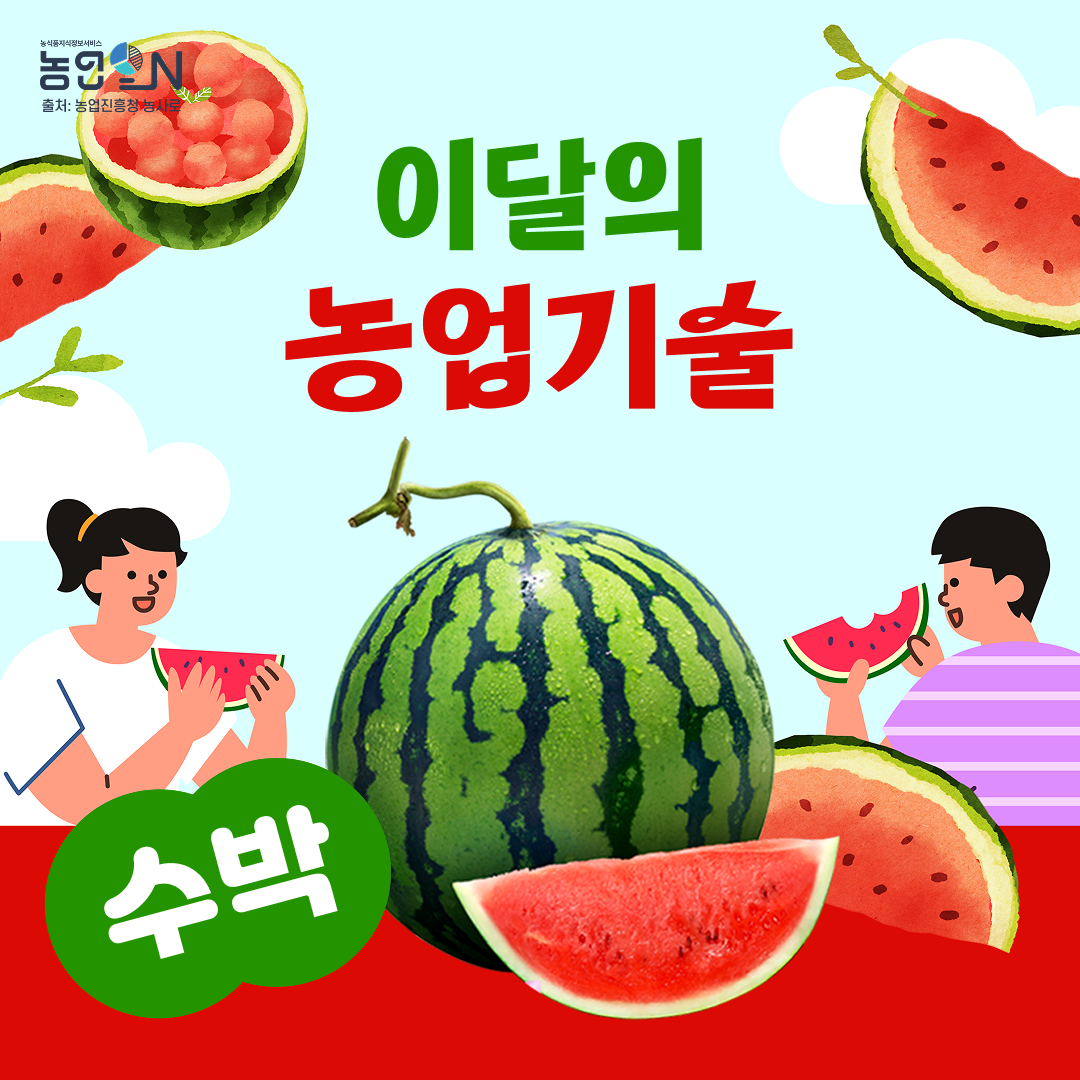 [이달의농업기술]  수박 덩굴마름병 병든 포기 제거, 사전 예방이 중요
